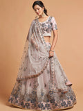 Super Grey Zari Embroidery Net Party Wear Lehenga Choli - Zeel Clothing