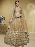 Wonderful Beige Foil Work Net Party Wear Lehenga Choli With Dupatta - Zeel Clothing
