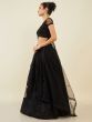 Stunning Black Sequins Party Wear Lehenga Choli With Net Dupatta